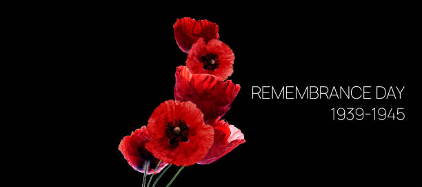 istock Remembrance Day Banner Template. Red Poppie on a black background. 1483373805