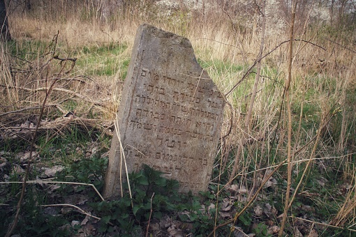 An old matzevot at the Jewish cemetery in Bodzanow.