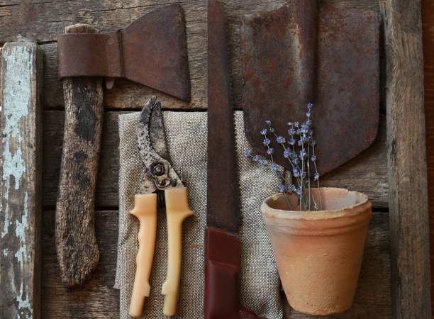 Flat lay composition with old secateurs and other gardening tools on wooden table