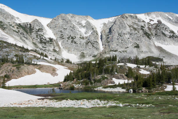 istock Medicine Bow Mountains on a summer day 1483380212