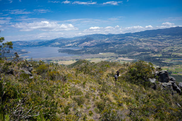 group of friends walking on the mountain, enjoying the landscape with their pets.