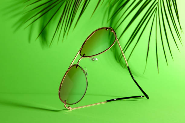 istock Stylish sunglasses and palm branches on green background 1483390796
