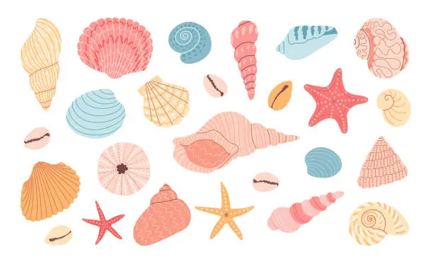 Vector illustration of Set of seashells and starfish on white background. Hand drawn colorful vector illustration. Flat cartoon style. Summer vacation collection, tropical beach shells.