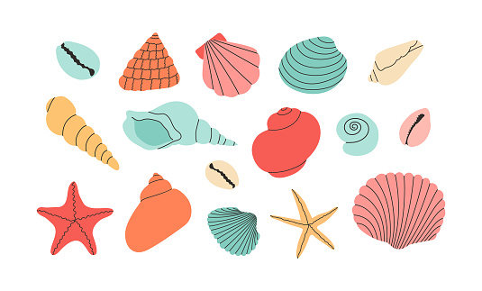 Set of colorful vector hand draw seashells and starfishes. Isolated design elements. Summer vacation collection, tropical beach shells.