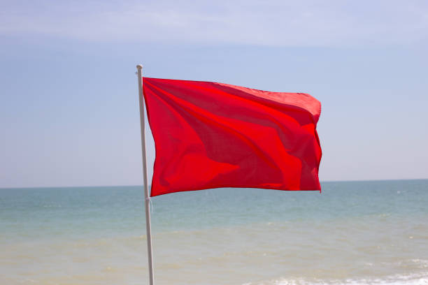istock A red flag. Warning sign on the beach 1483396679