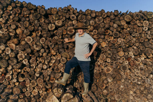 istock Farmer on the woodpile 1483400561