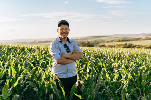 Young farmer in the corn field