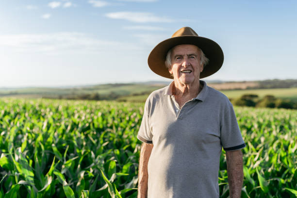 istock Senior farmer at corn plantation 1483400707