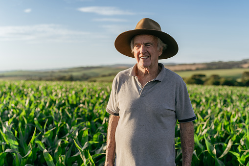 Farmer in corn plantation
