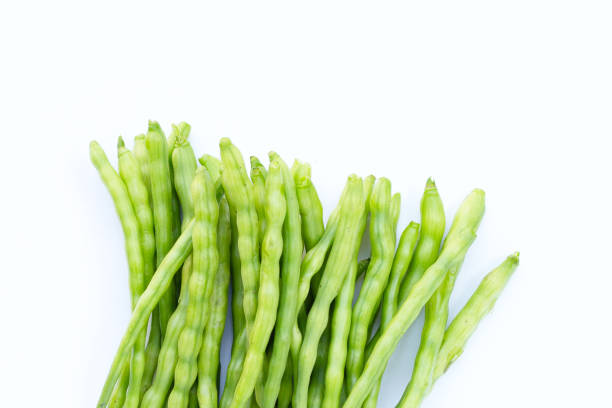istock Rat-tailed radish. Fresh organic vegetables 1483400871
