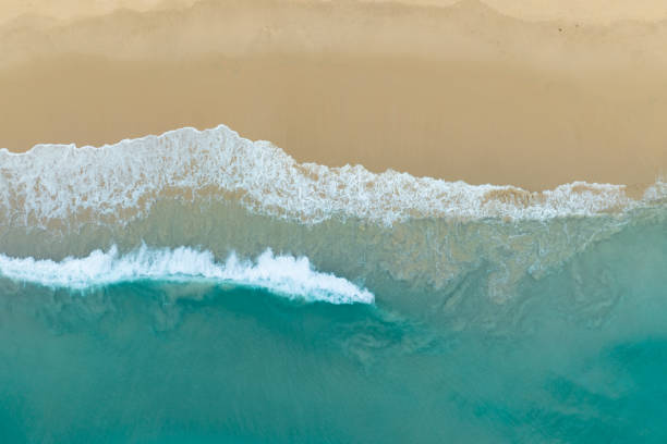 istock Beautiful beach wave foamy come sandy 1483402453