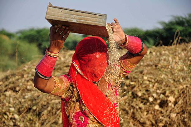 istock Woman working in field 148340668