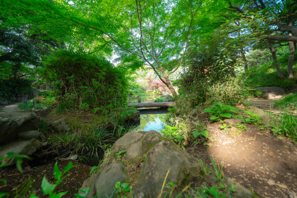 istock Beautiful waterfall scenery in a park in Tokyo 1483411081