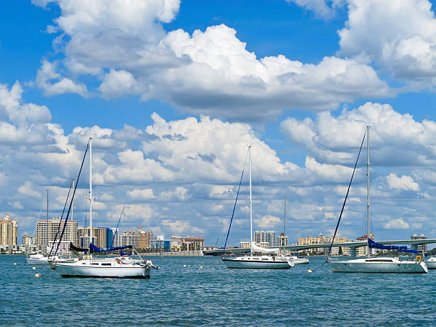 Sailboats and city skyline of Sarasota Bay stock photo