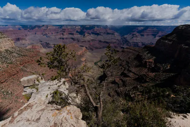Photos from the Grand Canyon and surrounding areas.
