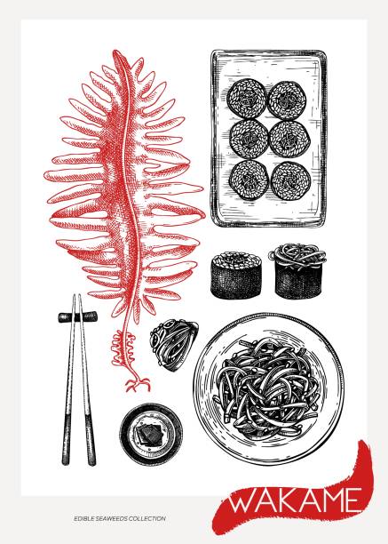 식용 김 스케치 세트 - sashimi sushi salad sea stock illustrations