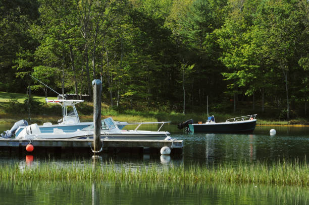 Motorboats moored in calm water with sea grass in foreground