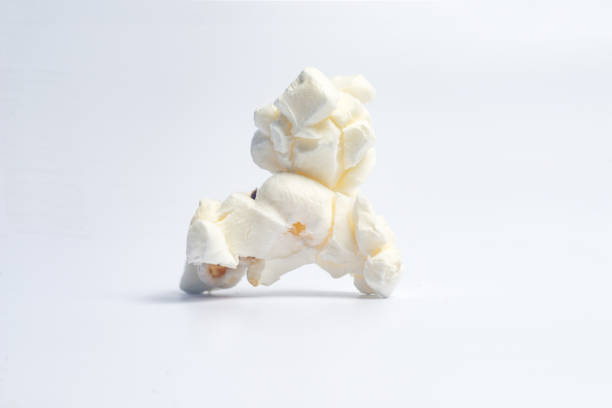 Popcorn creatures - Dog