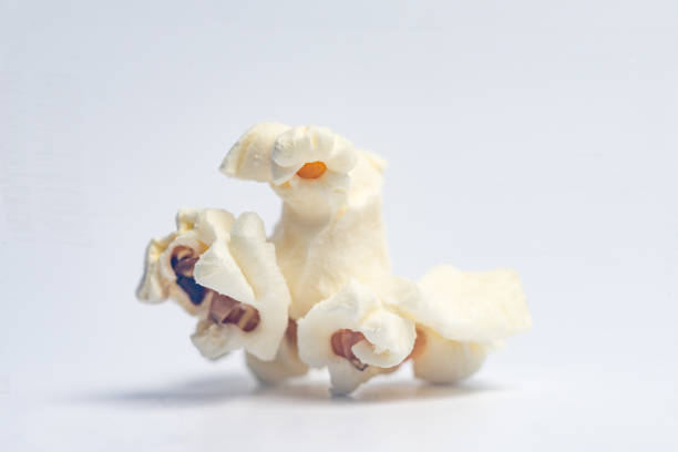 Popcorn creatures - Dog