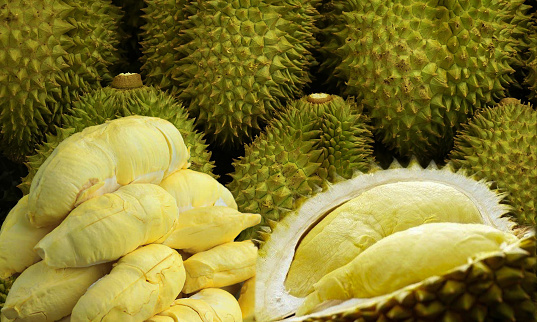Durian, yellow with thorny rind It's a popular fruit.