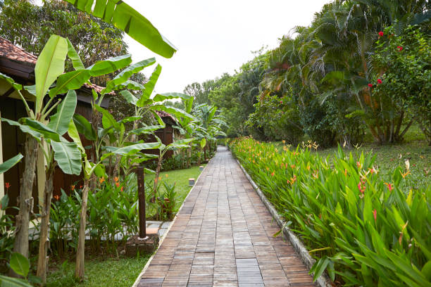 istock path in the garden ,tropical resort 1483432188
