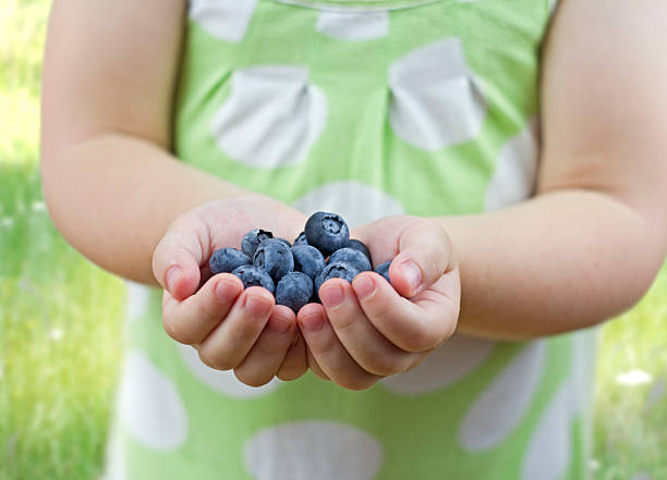 istock little girl holding blackberries 148343878