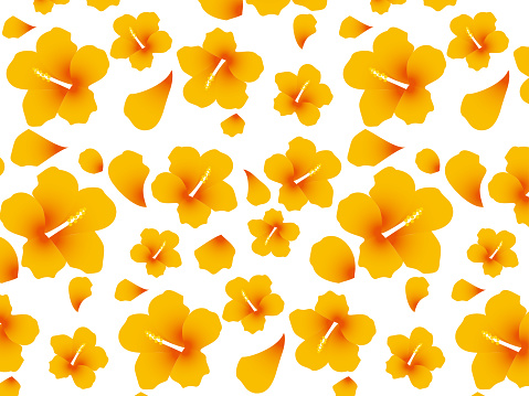 hibiscus pattern background