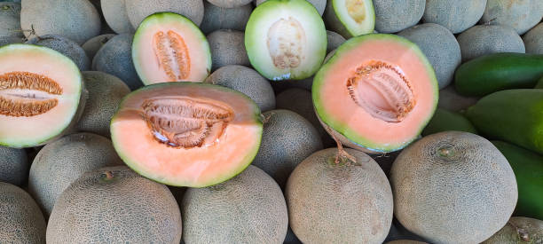 istock Whole and sliced of melons 1483451980