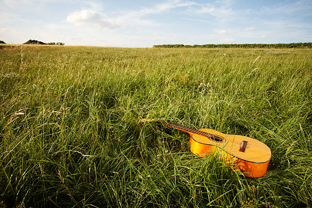 istock Wooden guitar lying in grassy field 148345444