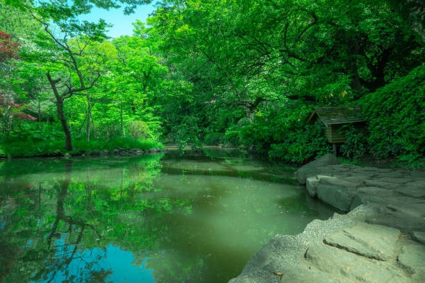 istock Tokyo park pond and sky 1483455922