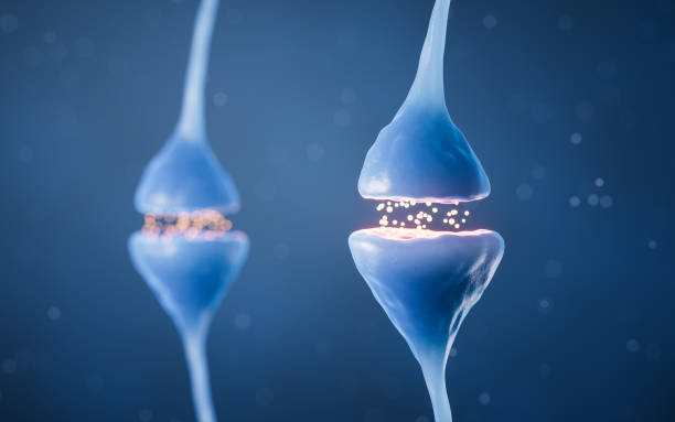 istock Synapse of neuron cell, biology concept, 3d rendering. 1483457761
