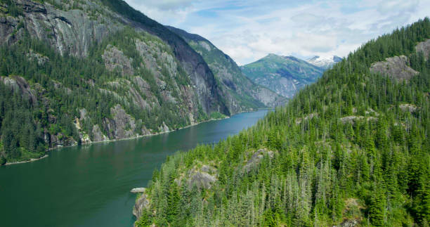 istock Capture stunning white clouds, blue skies, green forests and mountains. 1483459886