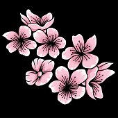 istock Sakura blossom vector illustration isolated on dark background 1483464726