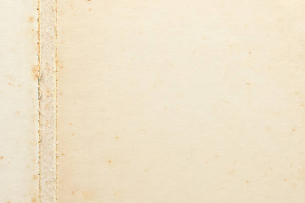 istock old vintage paper texture background, page for design 1483464752