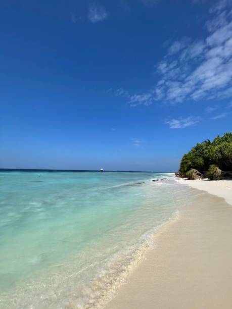 istock Mesmerizing view of soft ocean waves on a sandy beach 1483469063