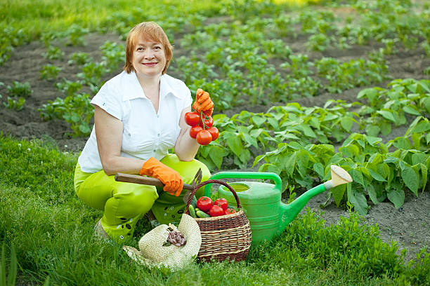 Happy mature woman with vegetables harvest