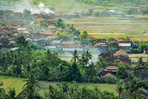 Rice plants are burned after harvest to prepare for the next crop in this rural rice farming neighborhood.  Bugbug Village, Karangasem Regency, Bali, Indonesia.