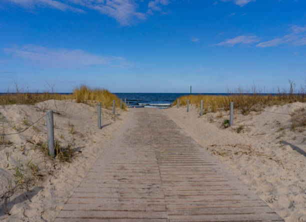 istock boardwalk to the beach baltic sea 1483473871