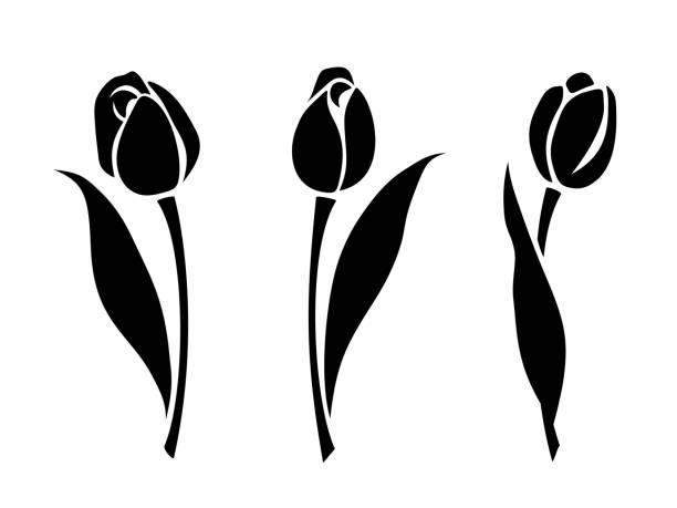 illustrazioni stock, clip art, cartoni animati e icone di tendenza di fiori di tulipano. siluette nere vettoriali - tulip