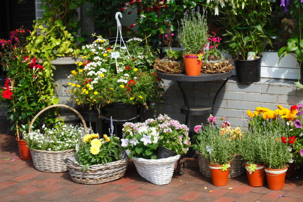 fiori in vasi di fiori in piedi di fronte a un negozio di fiori, germania - einzelhandel foto e immagini stock
