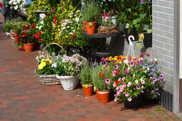 fiori in vasi di fiori in piedi di fronte a un negozio di fiori, germania - einzelhandel foto e immagini stock