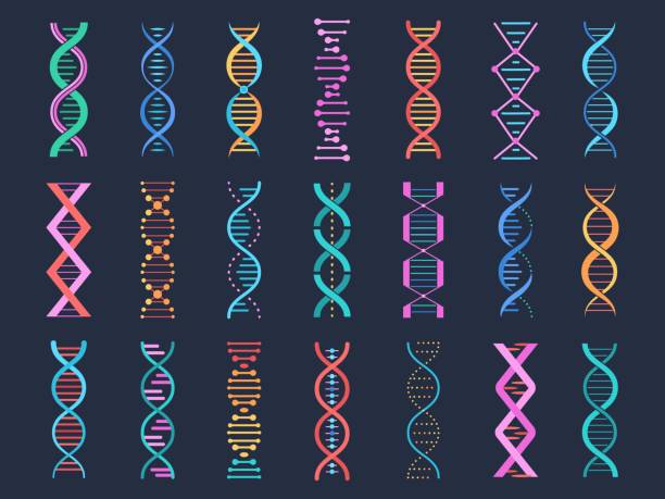 Dna pictogram symbols, gene shapes. Biological elements, genetic helix code research. Medical sequence genes, vibrant simple decent vector signs Dna pictogram symbols, gene shapes. Biological elements, genetic helix code research. Medical sequence genes, vibrant simple decent vector signs of shape gene molecule dna illustration genetic makeup stock illustrations