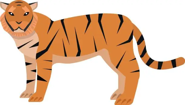 Vector illustration of tiger