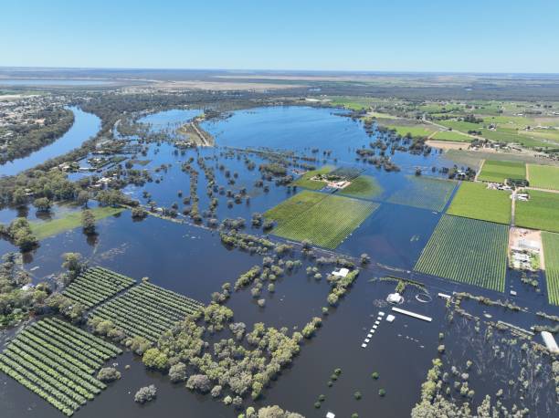überschwemmung des flusses victoria mildura murray im jahr 2022. - mildura stock-fotos und bilder