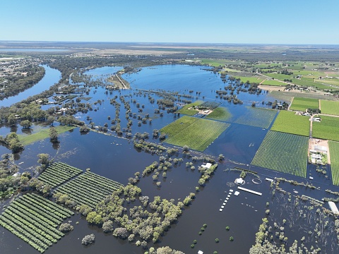Mildura Murray river flood in 2022.