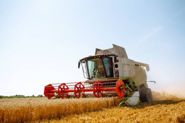 istock Modern industrial combine harvester harvests 1483483031