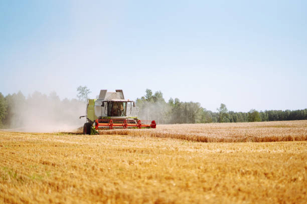 istock Modern industrial combine harvester harvests 1483483035