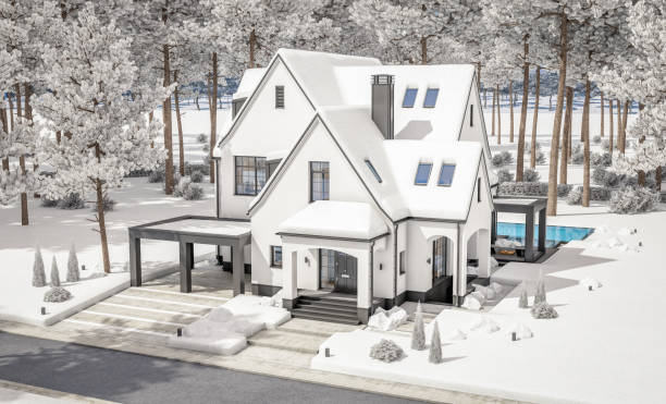 3d rendering of white and black modern tudor house in winter day - house residential structure non urban scene tudor style imagens e fotografias de stock