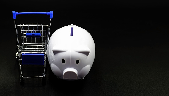 A shopping cart or supermarket trolley next to a piggy bank. Concept of expenditure on food or price increases and savings
