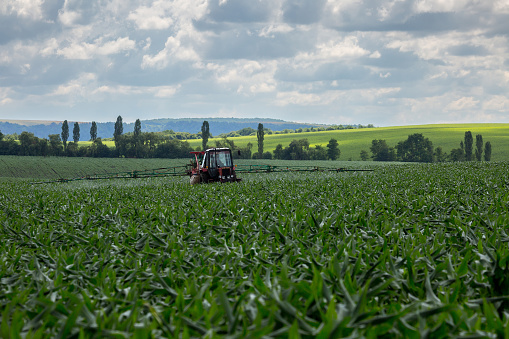 A farm tractor with a trailed sprayer processes a field sown with corn with plant protection products. Western Ukraine, Ternopil region.